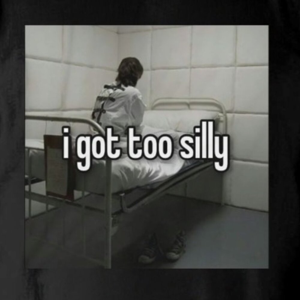 I Got Too Silly Funny Meme Best T-Shirt - Picture 3 of 3